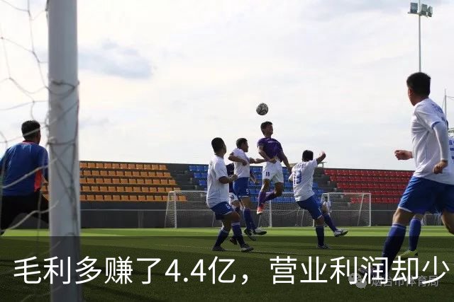 毛利多赚了4.4亿，营业利润却少了9亿：特斯拉的钱去哪了？