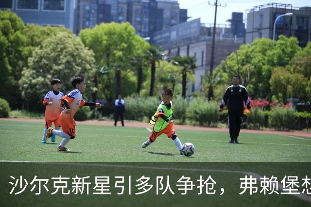 沙尔克新星引多队争抢，弗赖堡想挖人却撞上长约